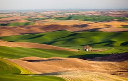 Agricoltura di Rolling Hills del terreno coltivabile della collina di Steptoe di regione di Palouse fotografia stock Agricoltura di Rolling Hills del terreno coltivabile della collina di Steptoe di regione di Palouse fotografia stock