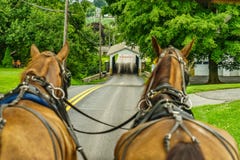 Agricoltura e tubi flessibili del campo dell'azienda agricola del paese di Amish a Lancaster, PA fotografie stock libere da diritti Agricoltura e tubi flessibili del campo dell'azienda agricola del paese di Amish a Lancaster, PA fotografie stock libere da diritti