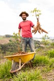 Agriculteur heureux tenant son produit de manioc un jour ensoleillé photos stock Agriculteur heureux tenant son produit de manioc un jour ensoleillé photos stock
