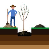 Agriculteur plantant un arbre illustration libre de droits Agriculteur plantant un arbre illustration libre de droits