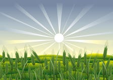 Agricultura. Foto de Stock Royalty Free Agricultura. Foto de Stock Royalty Free
