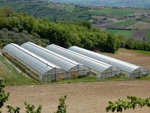 Agricultural greenhouses