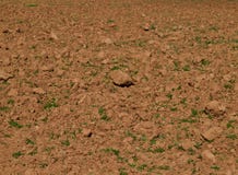 Agriculture at the algarve coast or Portugal stock photos Agriculture at the algarve coast or Portugal stock photos
