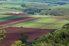 Agriculture des collectes de vallée images stock Agriculture des collectes de vallée images stock