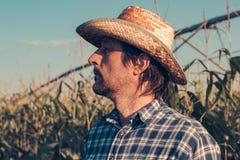 Agronomo sicuro serio che progetta attività agricola nel campo di grano immagine stock Agronomo sicuro serio che progetta attività agricola nel campo di grano immagine stock