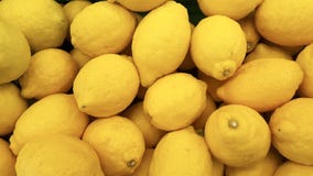 Agrume de citron de Limon Photographie stock libre de droits Agrume de citron de Limon Photographie stock libre de droits