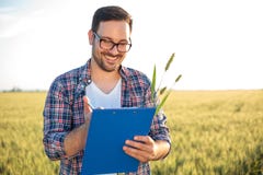 Agrônomo ou fazendeiro novo de sorriso que inspecionam o campo de trigo antes da colheita, redigindo dados a uma prancheta imagens de stock Agrônomo ou fazendeiro novo de sorriso que inspecionam o campo de trigo antes da colheita, redigindo dados a uma prancheta imagens de stock