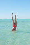 Agua deportiva del océano de la posición del pino de la mujer del bikini fotografía de archivo Agua deportiva del océano de la posición del pino de la mujer del bikini fotografía de archivo