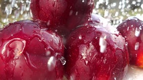 Agua que cae en plumps rojos, cámara lenta Agua que cae en plumps rojos, cámara lenta