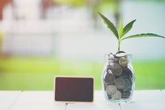 Ahorro del dinero y concepto financiero de la inversión Plante el crecimiento en monedas de los ahorros con la pequeña cartelera imagenes de archivo Ahorro del dinero y concepto financiero de la inversión Plante el crecimiento en monedas de los ahorros con la pequeña cartelera imagenes de archivo