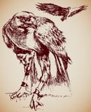aigles illustration de vecteur aigles illustration de vecteur