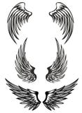 Ailes réglées illustration libre de droits Ailes réglées illustration libre de droits