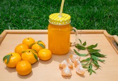 Ainda vida 1 Uma caneca transparente com um punho com suco recentemente espremido da tangerina E tangerinas frescas imagens de stock royalty free Ainda vida 1 Uma caneca transparente com um punho com suco recentemente espremido da tangerina E tangerinas frescas imagens de stock royalty free