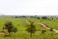 Air balloons in Serengeti National Park royalty free stock photo Air balloons in Serengeti National Park royalty free stock photo