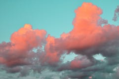 Air clouds of coral live color on the blue sky at sunset. background trends 2019 stock image Air clouds of coral live color on the blue sky at sunset. background trends 2019 stock image