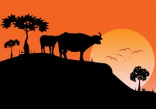 Ajardine a ideia da noite do campo com em fundo do pôr do sol ilustração do vetor Ajardine a ideia da noite do campo com em fundo do pôr do sol ilustração do vetor