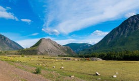 Ajardine la vista de las montañas de Altai, camino entre las montañas, Rusia fotografía de archivo libre de regalías Ajardine la vista de las montañas de Altai, camino entre las montañas, Rusia fotografía de archivo libre de regalías