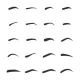Ajuste dos femaleeyebrows esquerdos ilustração stock Ajuste dos femaleeyebrows esquerdos ilustração stock