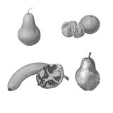 Ajuste dos frutos em posições diferentes, isolado sobre o branco Ilustração bonita preto e branco do lápis imagem de stock Ajuste dos frutos em posições diferentes, isolado sobre o branco Ilustração bonita preto e branco do lápis imagem de stock