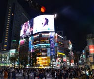 Akihabara Pass Night royalty free stock image Akihabara Pass Night royalty free stock image