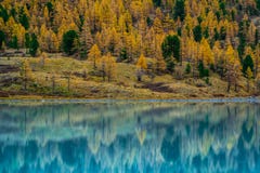 Akkemvallei in Altai-Bergen Natuurreservaat stock foto Akkemvallei in Altai-Bergen Natuurreservaat stock foto