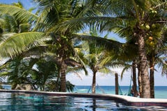 Akumal Caribbean beach Royalty Free Stock Photos Akumal Caribbean beach Royalty Free Stock Photos