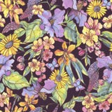 Akwareli kwiecistego kolorowego lata bezszwowy wzór, wildflowers royalty ilustracja Akwareli kwiecistego kolorowego lata bezszwowy wzór, wildflowers royalty ilustracja
