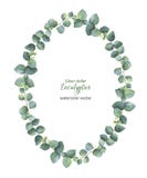 Akwareli ręka malował wektorowego owalnego wianek z srebnego dolara eukaliptusem ilustracji Akwareli ręka malował wektorowego owalnego wianek z srebnego dolara eukaliptusem ilustracji