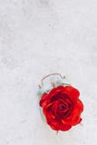 Alarm clock and red ranunculus with copy space. Springtime. Top view stock photo Alarm clock and red ranunculus with copy space. Springtime. Top view stock photo