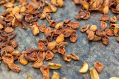 Albaricoques secados hechos en casa Una hoja con mitades de albaricoques fotografía de archivo libre de regalías Albaricoques secados hechos en casa Una hoja con mitades de albaricoques fotografía de archivo libre de regalías