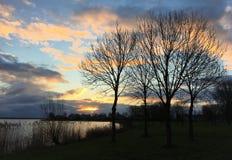 Alberi di inverno accanto a Wolderwijd Zeewolde immagine stock libera da diritti Alberi di inverno accanto a Wolderwijd Zeewolde immagine stock libera da diritti