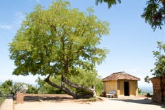 Albero sulla torre di Garai - Phan ha suonato Viet Nam fotografie stock Albero sulla torre di Garai - Phan ha suonato Viet Nam fotografie stock