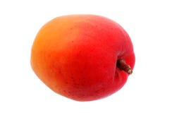 Albicocche fresche e frutta matura immagine stock libera da diritti Albicocche fresche e frutta matura immagine stock libera da diritti