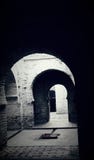 Alcazar of Jerez Spain royalty free stock photos Alcazar of Jerez Spain royalty free stock photos