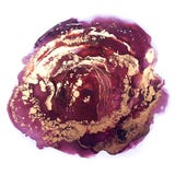 Alcohol Ink Texture. Fluid Ink Abstract Background. Art For Design The Art For The Design Of Transparent Creativity Stock Photography Alcohol Ink Texture. Fluid Ink Abstract Background. Art For Design The Art For The Design Of Transparent Creativity Stock Photography