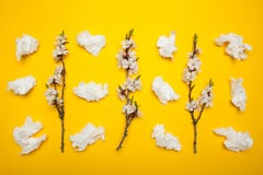 Alergias florecientes y estacionales de la primavera y del verano imágenes de archivo libres de regalías Alergias florecientes y estacionales de la primavera y del verano imágenes de archivo libres de regalías
