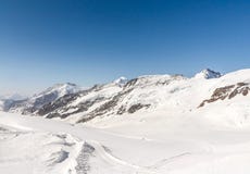 Aletsch-Gletscher im Jungfraujoch, Schweizer Alpen, die Schweiz Stockbild Aletsch-Gletscher im Jungfraujoch, Schweizer Alpen, die Schweiz Stockbild