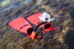 Alette rosse sulla linea costiera Immergersi ingranaggio per l'operatore subacqueo immagine stock Alette rosse sulla linea costiera Immergersi ingranaggio per l'operatore subacqueo immagine stock
