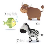 Alfabet met dieren van X aan Z vector illustratie Alfabet met dieren van X aan Z vector illustratie