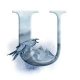 Alfabeto floreale dell'acquerello Progettazione della lettera iniziale U del monogramma con Raven disegnato a mano, il corvo e la Fotografia Stock Alfabeto floreale dell'acquerello Progettazione della lettera iniziale U del monogramma con Raven disegnato a mano, il corvo e la Fotografia Stock