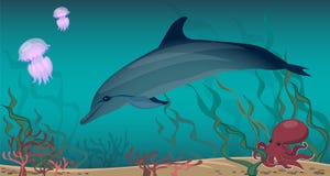 Algues de corail de poulpe de méduses de dauphin d'espèce marine Le fond de Sandy illustration stock Algues de corail de poulpe de méduses de dauphin d'espèce marine Le fond de Sandy illustration stock