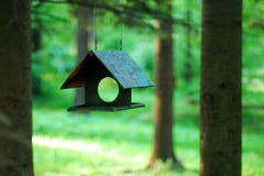 Alimentador do pássaro que pendura contra a floresta verde borrada do verão foto de stock Alimentador do pássaro que pendura contra a floresta verde borrada do verão foto de stock