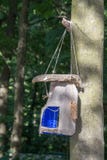 Alimentador original del pájaro, hecho a mano de la botella plástica, pedazo de imagen de archivo libre de regalías Alimentador original del pájaro, hecho a mano de la botella plástica, pedazo de imagen de archivo libre de regalías