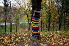 Alimentatore dell'uccello nel parco Il tronco di albero è decorato con di una cosa tricottata a strisce colorata multi immagini stock Alimentatore dell'uccello nel parco Il tronco di albero è decorato con di una cosa tricottata a strisce colorata multi immagini stock