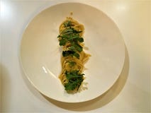 Alimento, espaguetes e plantas artísticos fotografia de stock Alimento, espaguetes e plantas artísticos fotografia de stock
