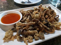 Alimento mushroomsCrispyEating fritto immagine stock libera da diritti Alimento mushroomsCrispyEating fritto immagine stock libera da diritti