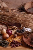 Alimento sano del naturist Alimento sano del naturist