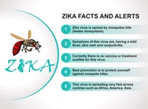 Allarme del virus di Zika Morso di zanzara Prevenzione e sintomi Infographic illustrazione di stock Allarme del virus di Zika Morso di zanzara Prevenzione e sintomi Infographic illustrazione di stock