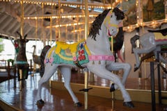 Allegro va il carosello del cavallino del giro al parco immagini stock libere da diritti Allegro va il carosello del cavallino del giro al parco immagini stock libere da diritti