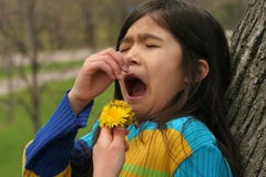 Allergies Stock Photography Allergies Stock Photography
